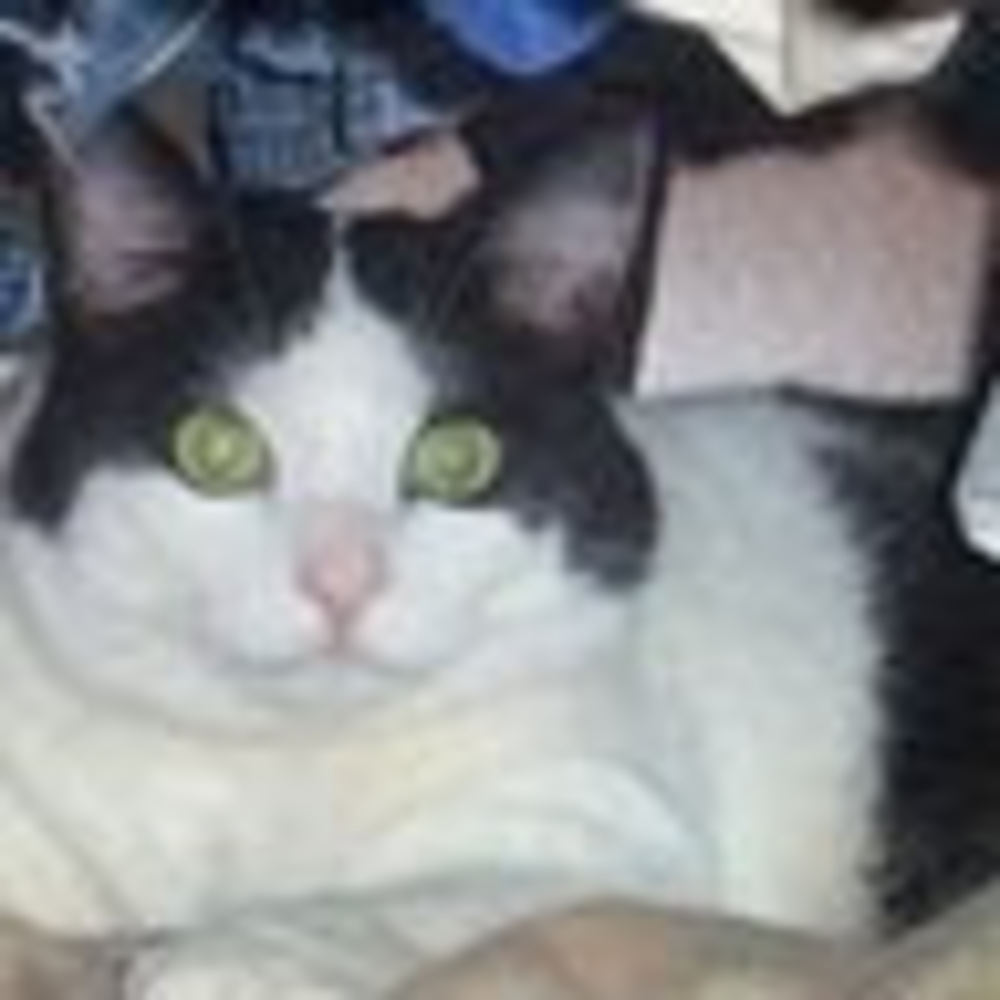 Meet your Posher, Jennifer